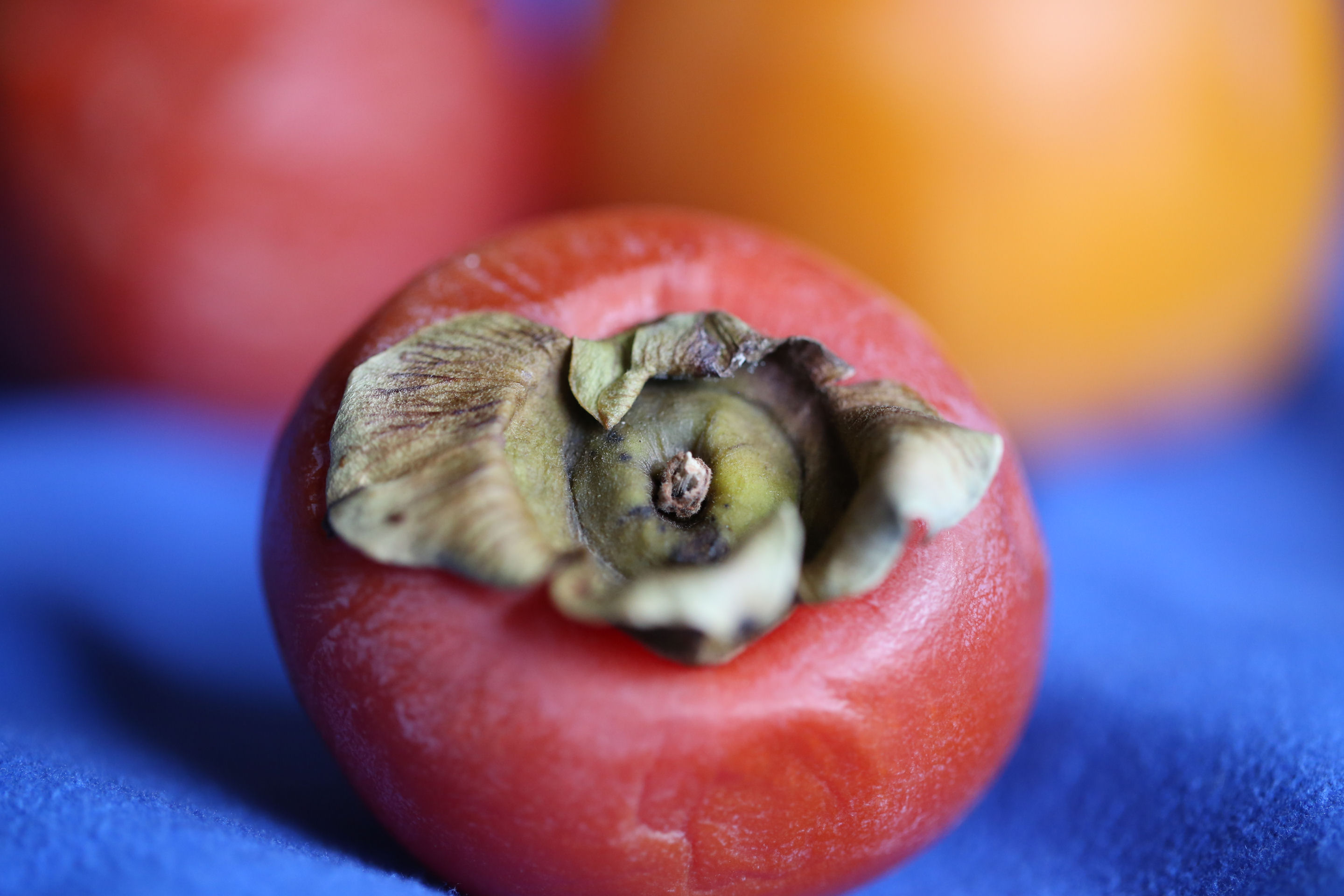 P for persimmon 