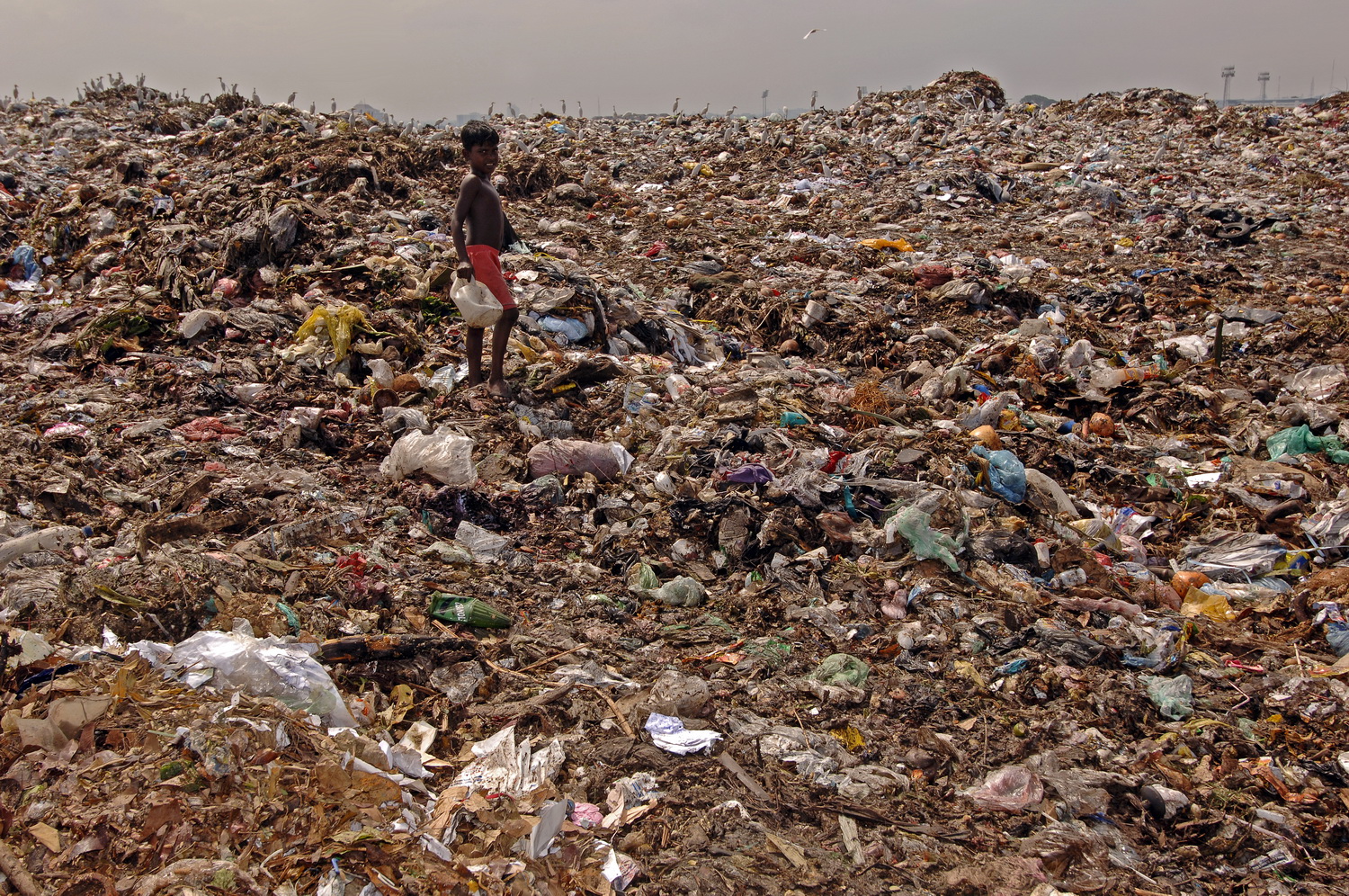 Odlagališe smeti  Bloemendaal v Colombu na Šrilanki